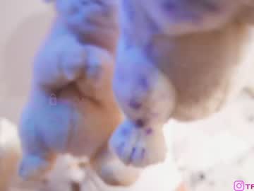 webcam girl taanni_bc image #6507618