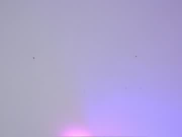 webcam girl sapphirealice image #1273796