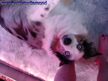 webcam girl ashlyndiamond image #621780