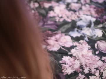 webcam girl shy_jane image #5801787