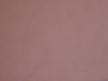 webcam girl shycinderella image #1835652