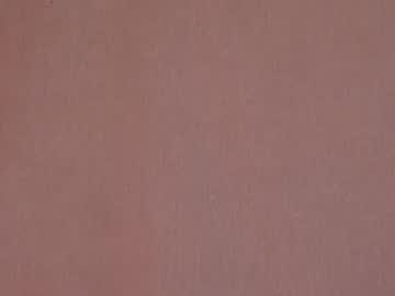 webcam girl shycinderella image #1799657