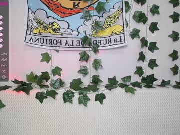 webcam girl shycinderella image #3402299