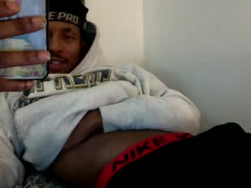 Cam for vegasaibot