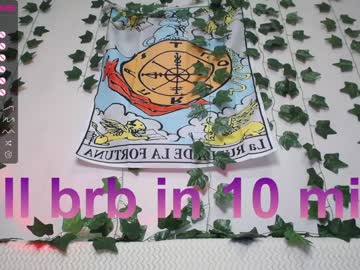 webcam girl shycinderella image #3402833