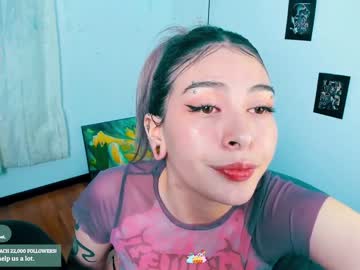 Cam for _baterchatur