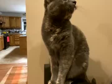 webcam girl chroniclove image #2954956