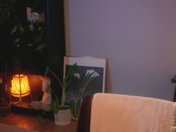 webcam girl ambientink image #2968708