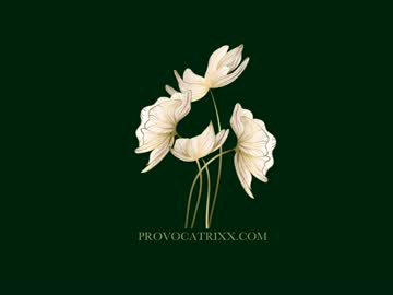 Cam for provocatrixx