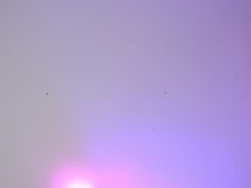 webcam girl shycinderella image #1045920