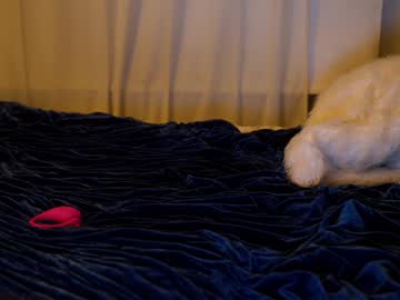 webcam girl ellaa91 image #986475