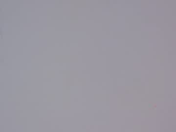 webcam girl shycinderella image #1005414