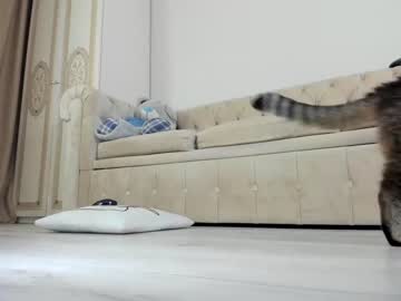 webcam girl missblondecutie image #2214844