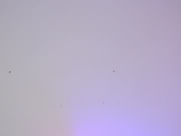 webcam girl sapphirealice image #1423243