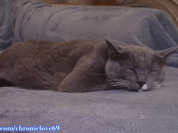 webcam girl chroniclove image #4091926