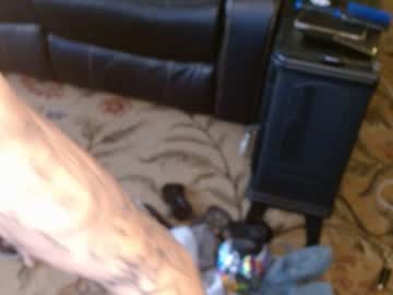 webcam couple lottysinn image #6659262