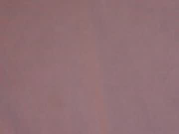 webcam girl shycinderella image #1822554