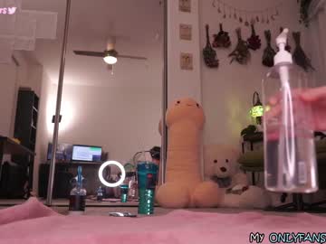 webcam girl evelynpiers image #3987367