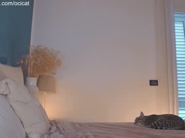 webcam girl ocicat image #6790150