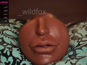 webcam couple _wildfox_ image #2103021