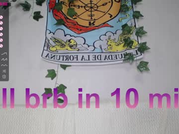 webcam girl shycinderella image #3588954