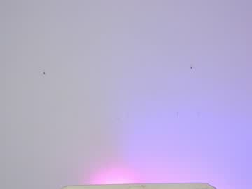 webcam girl sapphirealice image #1589499