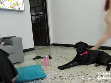 webcam couple cheeseburgerjesus image #2610259