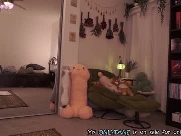webcam girl evelynpiers image #4621002
