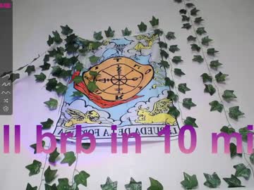 webcam girl shycinderella image #3445871