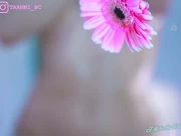 webcam girl taanni_bc image #4324246