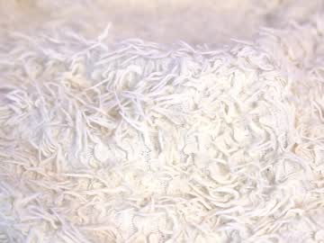 webcam girl shycinderella image #4876924