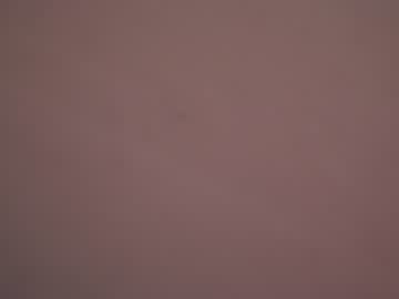 webcam couple anabel054 image #621928