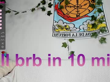 webcam girl shycinderella image #3804968