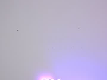 webcam girl sapphirealice image #1730934