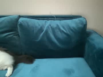 Cam for clam_slam