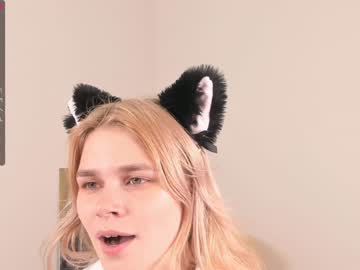 Cam for stephleesa